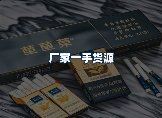 专业团队办公环境